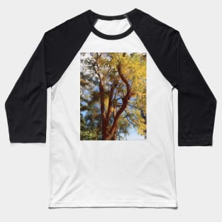 Autumn tree in the breeze Baseball T-Shirt